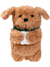 Biscuit