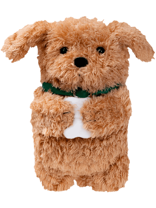 Biscuit