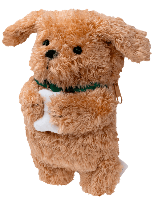 Biscuit