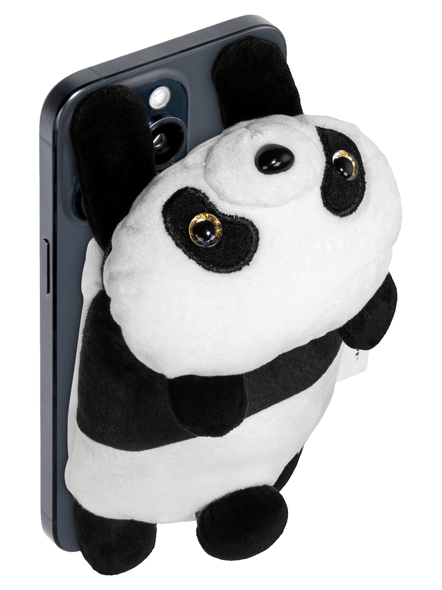 Bao