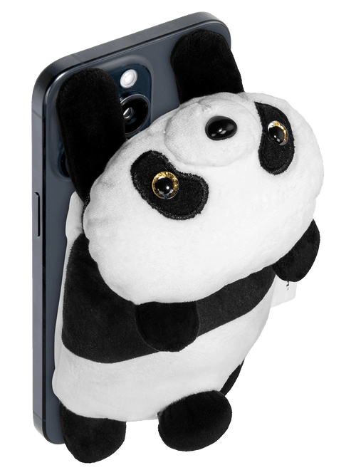 Bao