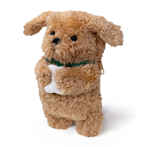 Ginger Dog