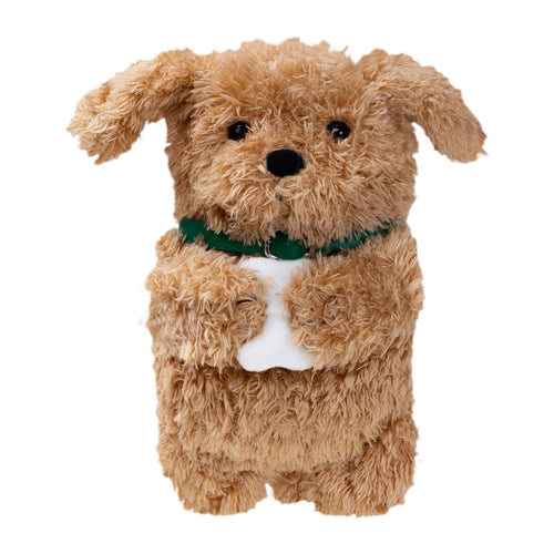 Ginger Dog