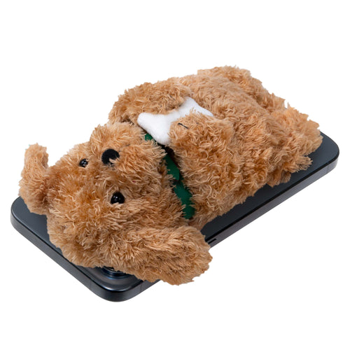 Ginger Dog