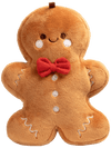 Ginger – Limited Edition