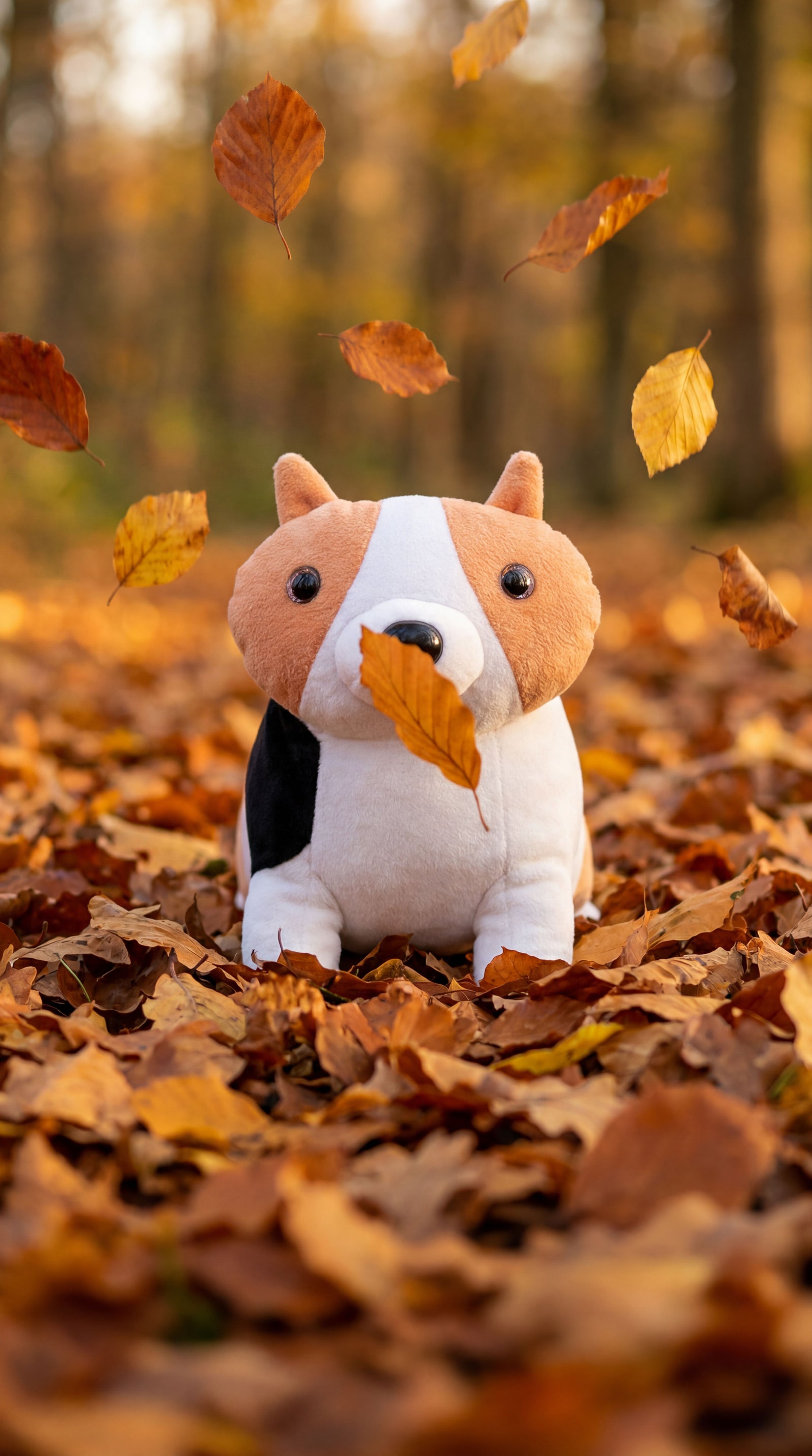 PIP